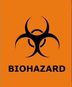 biohazard 2